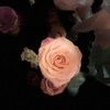 julieb838